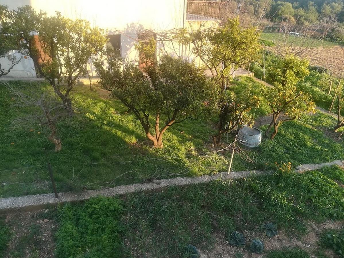 טרוגיר Apartments Barisic Hrvatskih Zrtava 404 Seget Vranjica מראה חיצוני תמונה